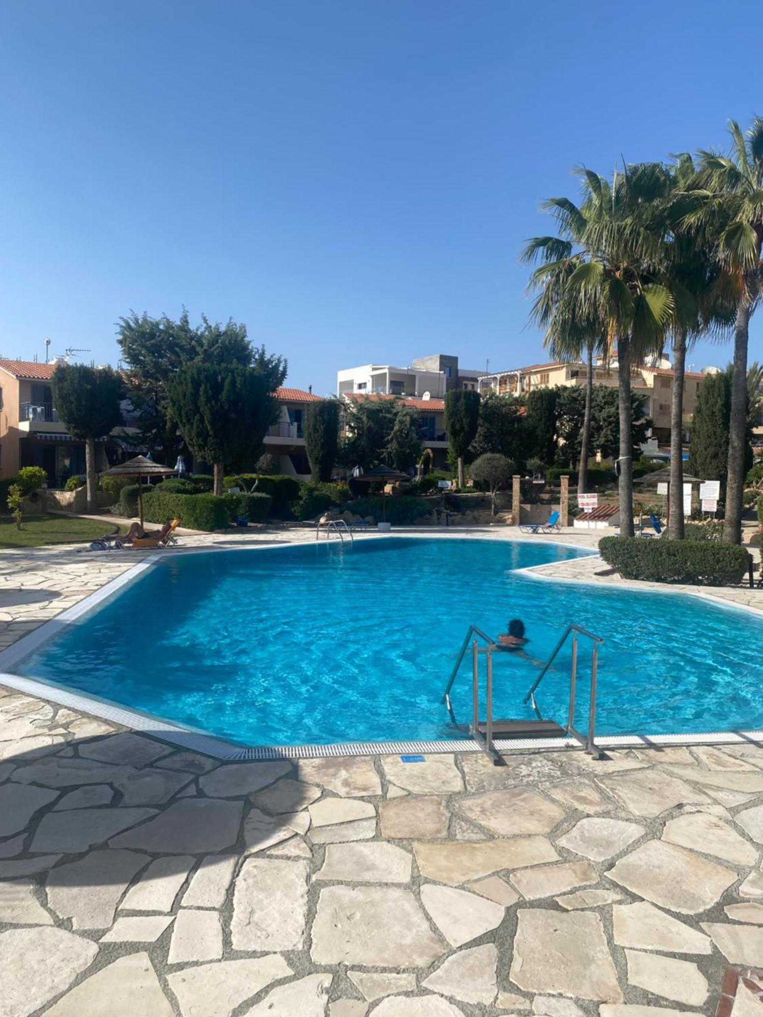 Newly Renovated- Regina Gardens 1, Venus Beach 500 M, Sea&Sunsets View, License Ooo7141 Paphos Exteriér fotografie