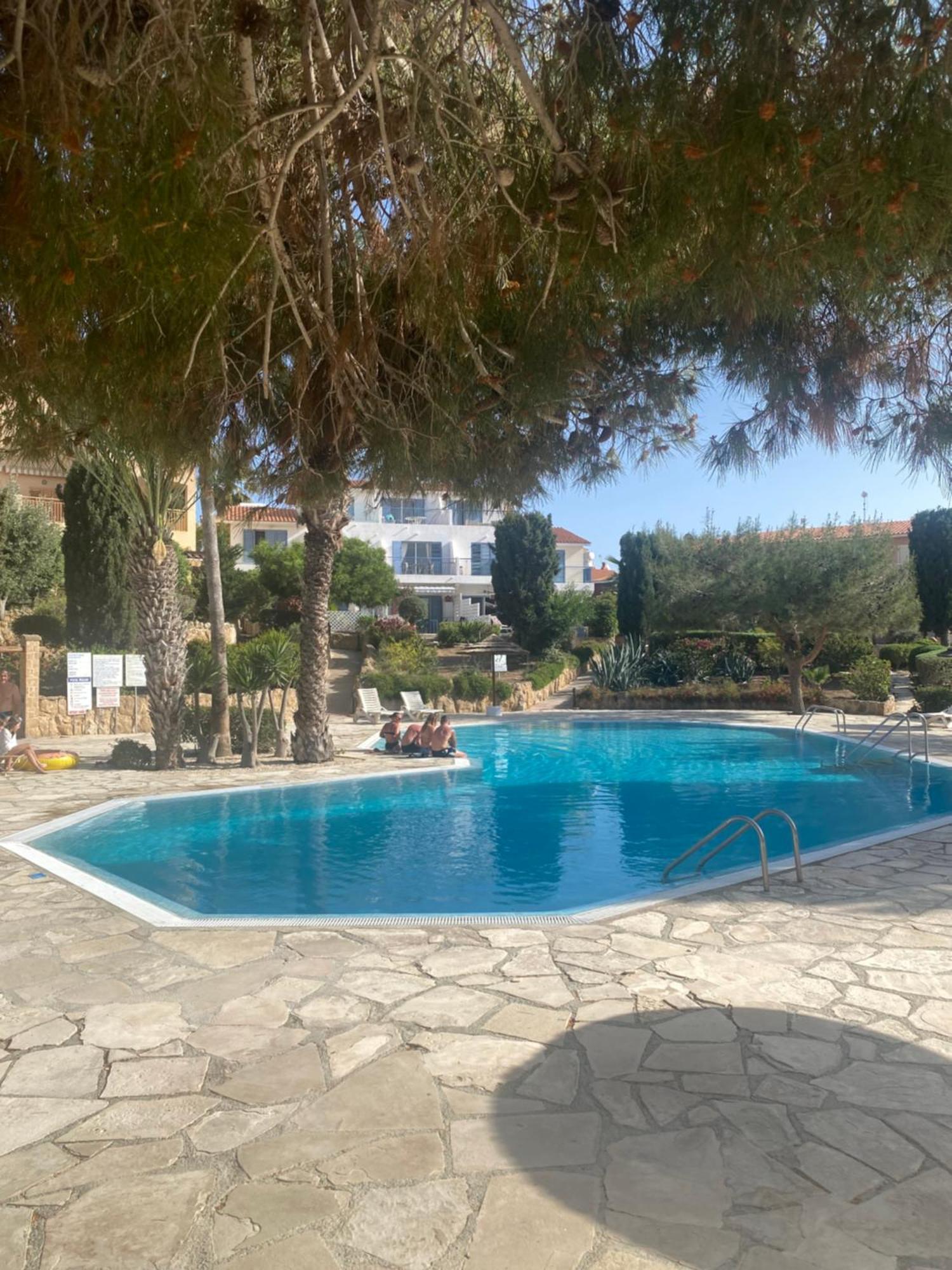 Newly Renovated- Regina Gardens 1, Venus Beach 500 M, Sea&Sunsets View, License Ooo7141 Paphos Exteriér fotografie