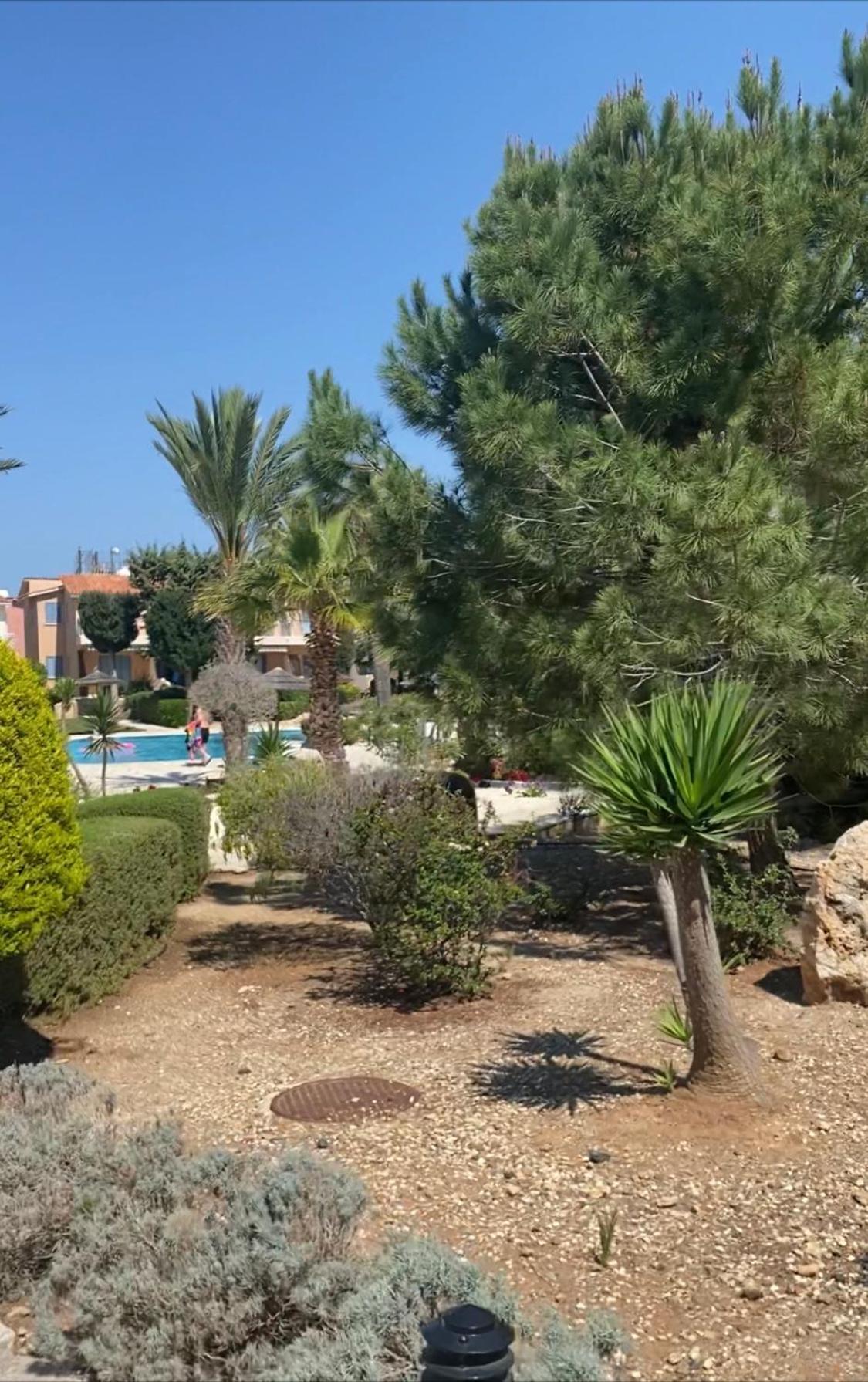 Newly Renovated- Regina Gardens 1, Venus Beach 500 M, Sea&Sunsets View, License Ooo7141 Paphos Exteriér fotografie